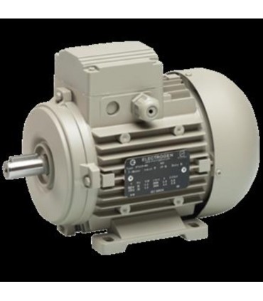 الكتروموتور دو پل الكتروژن 0.25KW B3