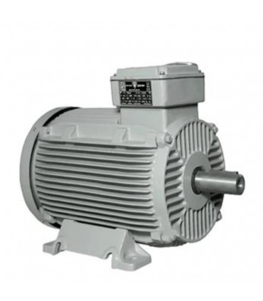 الكتروموتور دو پل موتوژن 110kw چدني