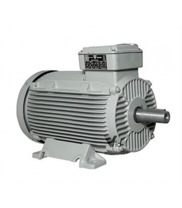 الكتروموتور شش پل موتوژن 22kw چدني