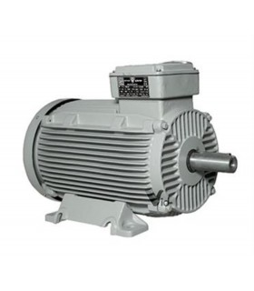 الكتروموتور شش پل موتوژن 160kw چودي