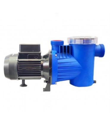 پمپ استخري پنتاكس IR WINNER150M 1.5HP