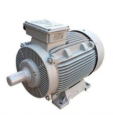 الكتروموتور هشت پل موتوژن 11KW چدن